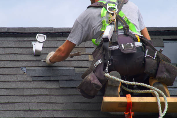 Best Roof Gutter Cleaning  in Somerset, OH