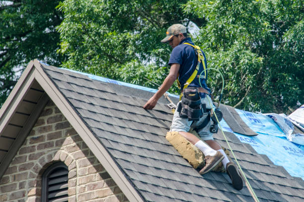 Best Roof Repair Services  in Somerset, OH